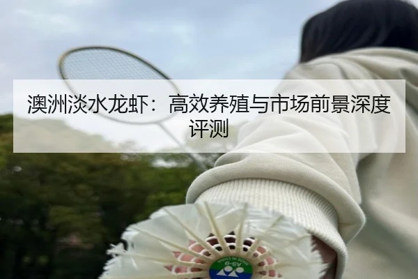 澳洲淡水龙虾：高效养殖与市场前景深度评测