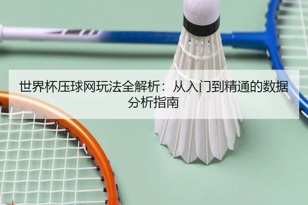 世界杯压球网玩法全解析：从入门到精通的数据分析指南